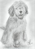 by Nienke van Zutphen