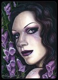by Rebecca Sinz