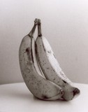 by Vanessa Hutzell