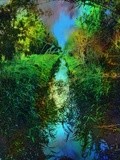 by Nira Dabush