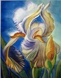 by Tanya Antimirova