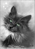 by Katerina Koukiotis