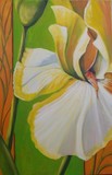 by Eileen Kasprick
