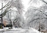 by Randy McCullough
