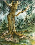 by Rhonda Shereck