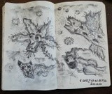 by José Ramalhão Fortunato