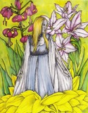 by Helena Anderson