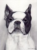 by Darla Dixon