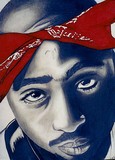 by Shay Guerrero 
