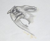 by Tanya Ray