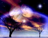by Astral  