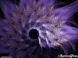by Thunder 7