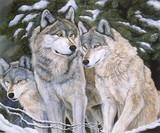 by Doni Kendig