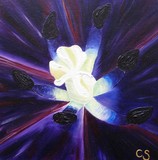 by Cherie Sullivan