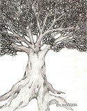 by James Anderson