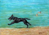 by Linda Hammar