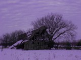 by Angel Housley