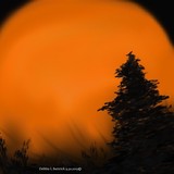 by Debbie Battrick