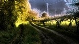 by gianantonio zago marino