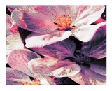 by Andrew David Photography