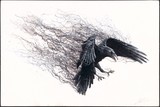 by Steve Hunsicker