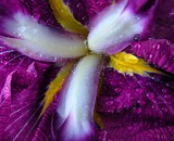 by Greg Summers