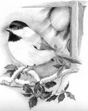 by Debbie Byess
