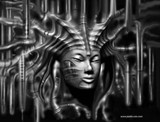 by Paata Konashvili
