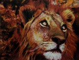 by mandy thomas