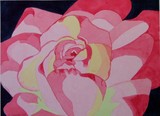 by Sally  Pulford