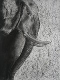 by Angelica Martinez