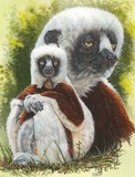 by Barbara Keith