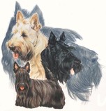 by Barbara Keith