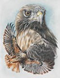 by Barbara Keith
