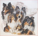 by Barbara Keith
