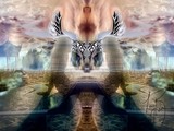 by TOMMY  BEAVER