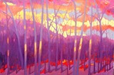 by Sara Harris