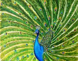 by manjiri kanvinde