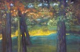 by Sandra McClure