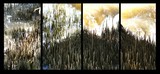 by Ropati Leaso-Cobb