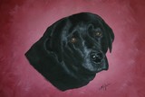by Christy McGuire