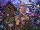 by Anne Dubois