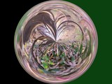 by Rhonda Barrett