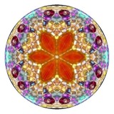by Jane  Priser