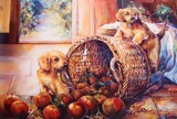 by garima tags