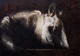 by els boedts