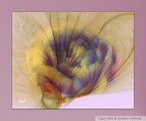 by Stefani Wehner