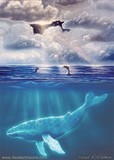 by Daniel B. Holeman