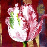 by Lisa Wolfin