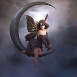 by lee taylor